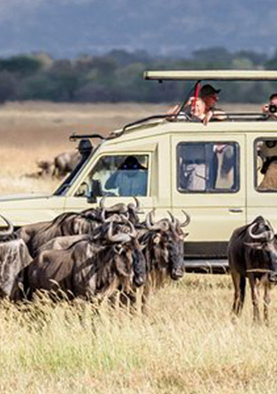 TANZANIA ADVENTURE SAFARI