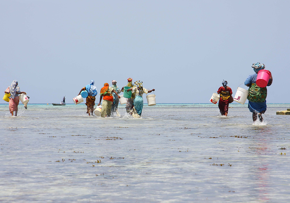  NUNGWI CULTURAL VILLAGE TOUR