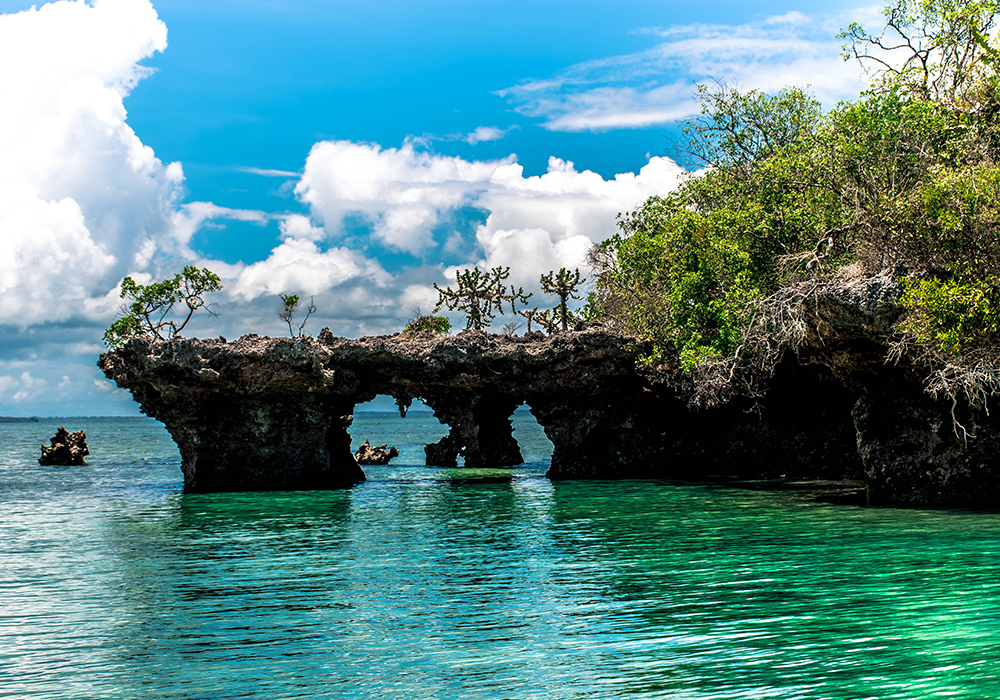 Safari Blue Boat Trip Mirage Zanzibar Tours And Safaris