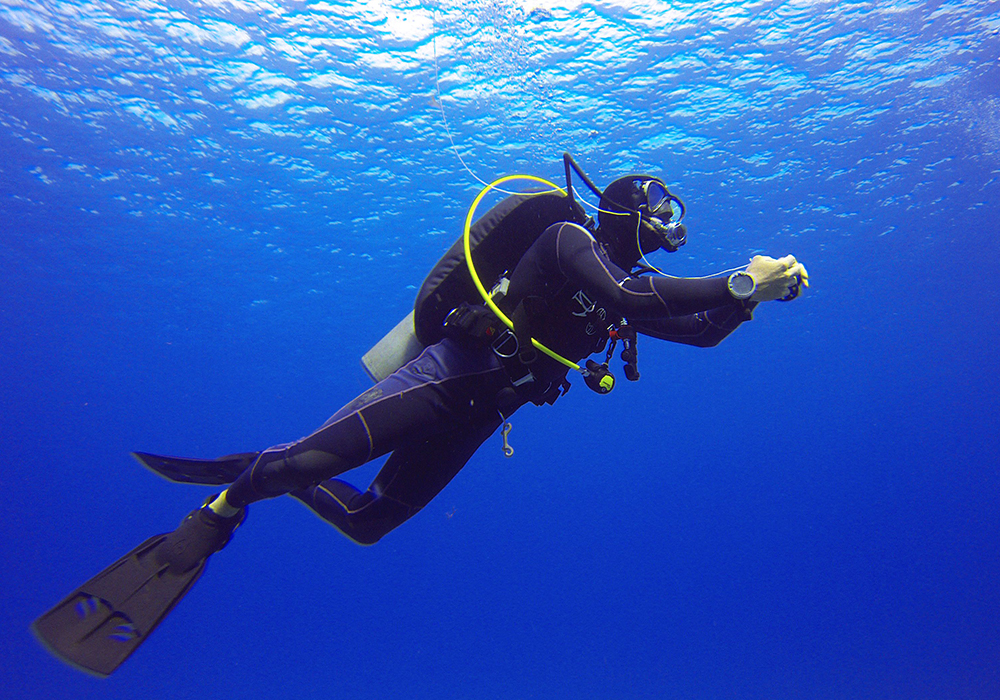 DIVING & SNORKELING IN ZANZIBAR