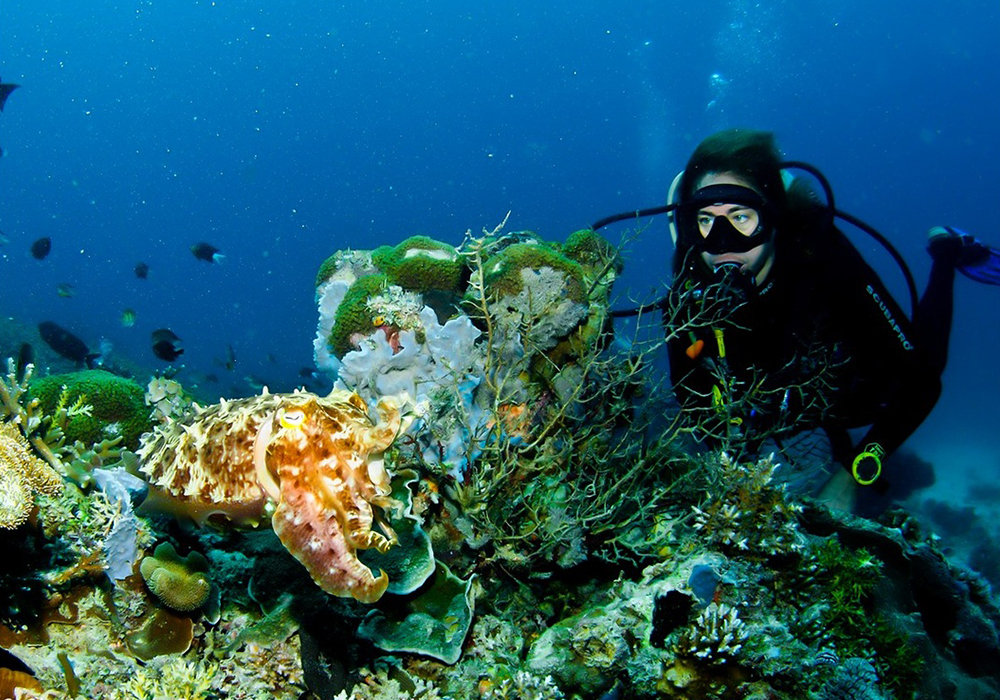 DIVING & SNORKELING IN ZANZIBAR